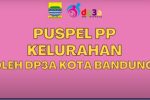 KALEIDOSKOP PEMBENTUKAN PUSPEL PP AKTIF DAN KEGIATAN PUSPEL PP DI SETIAP KELURAHAN