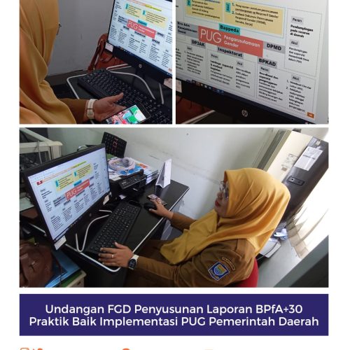 Undangan FGD Penyusunan Laporan BPFA+30 Praktik Baik Implementasi PUG Pemerintah Daerah