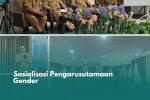 Sosialisasi Pengarusutamaan Gender