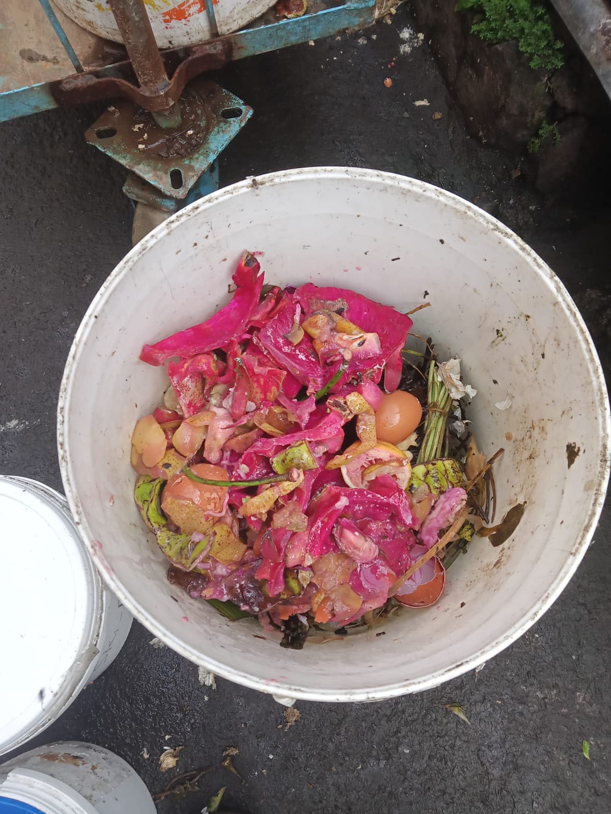 2) Pengangkutan Sampah Organik Rumah Ke Rumah (5)