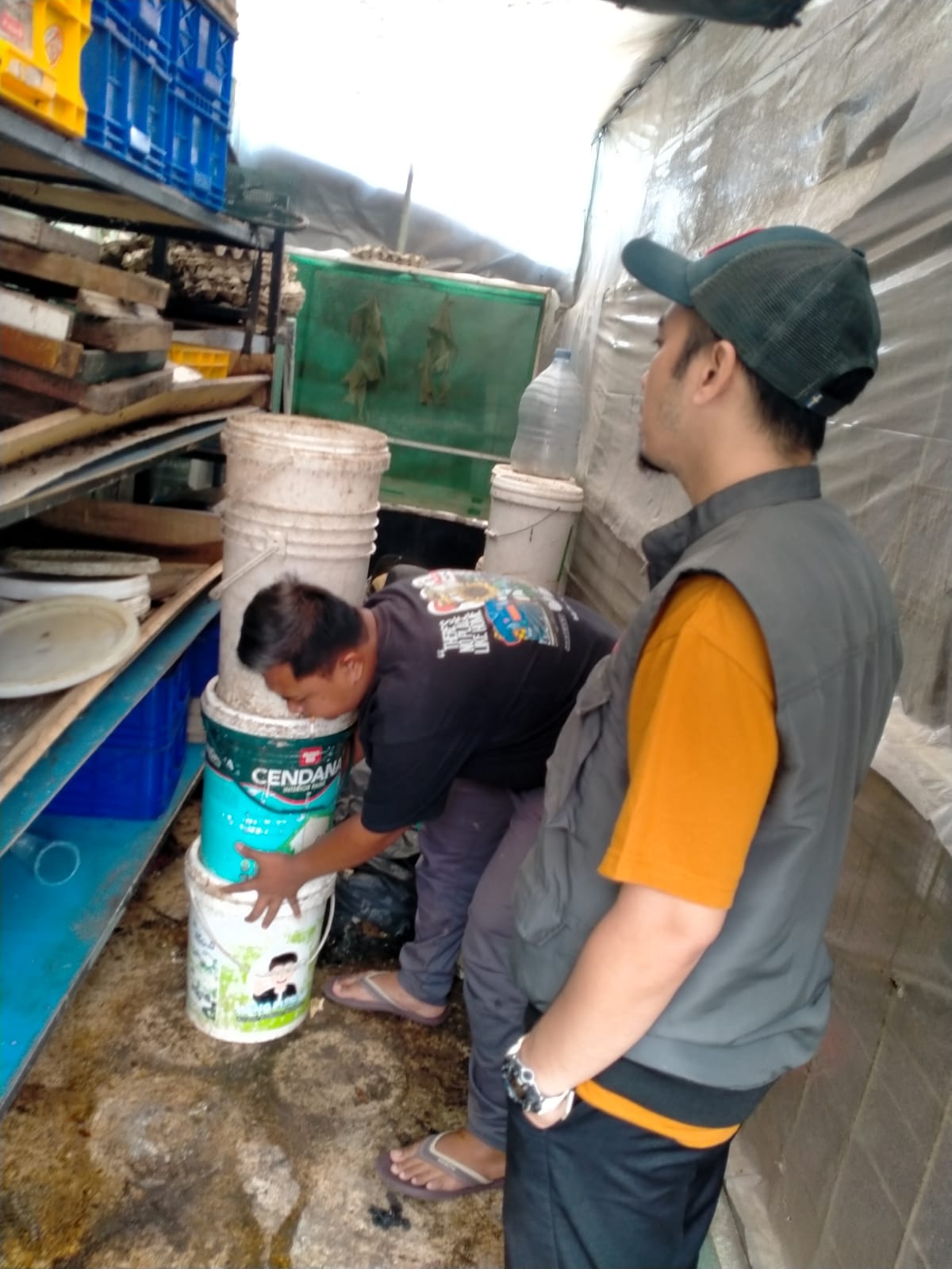 6) Distribusi Sampah Organik ke masing masing Rumah Magot (3)